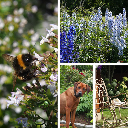 Garten- und Wohnraumgestaltung Alexander Casper